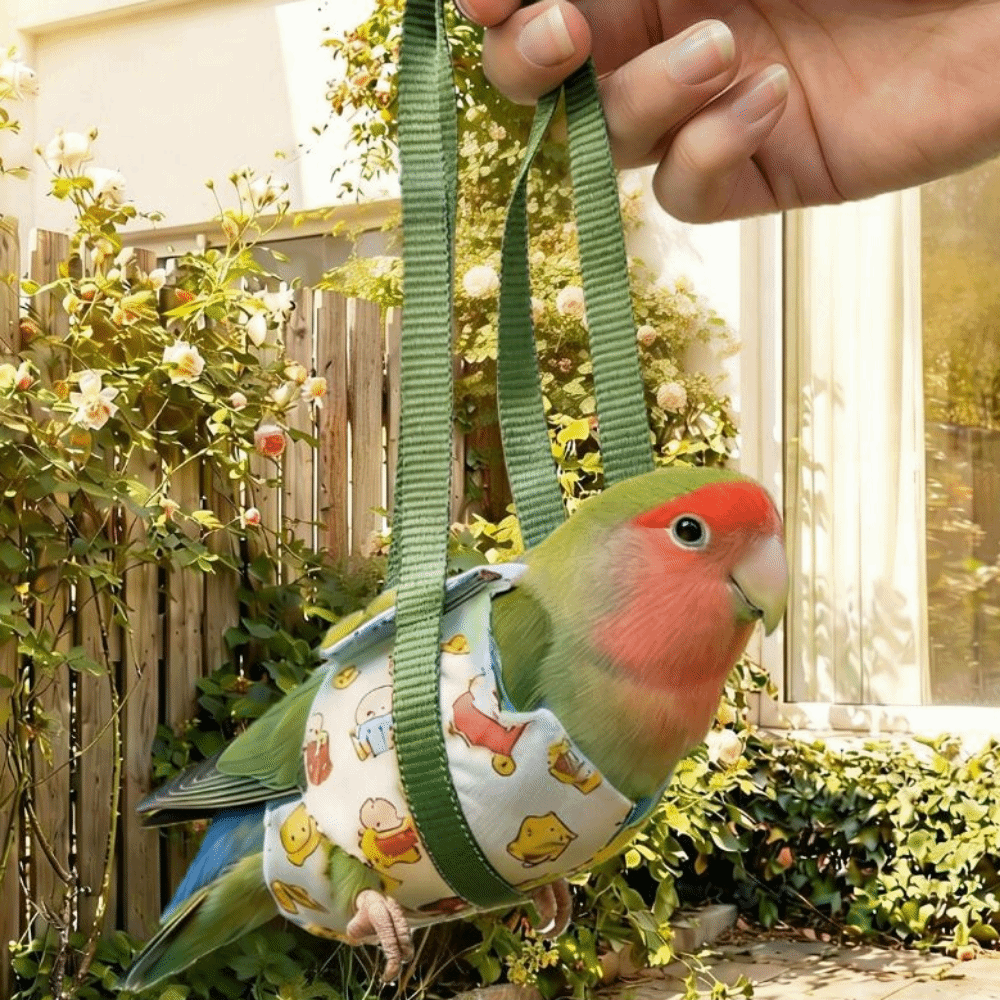 Img