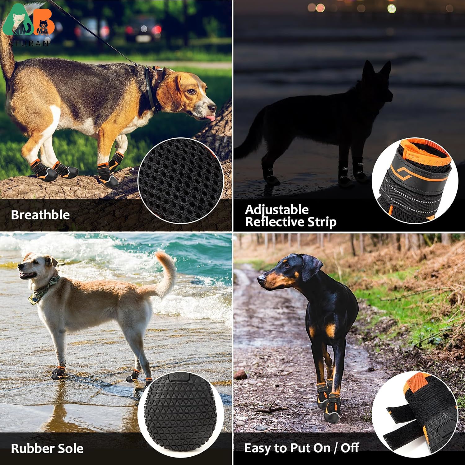 view